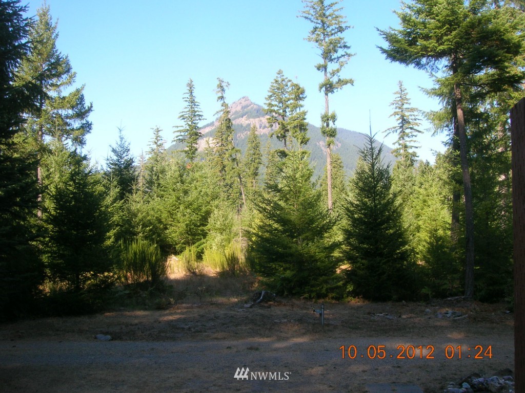 333 Cannon Road Packwood, WA 98361 - Photo 8 of 15