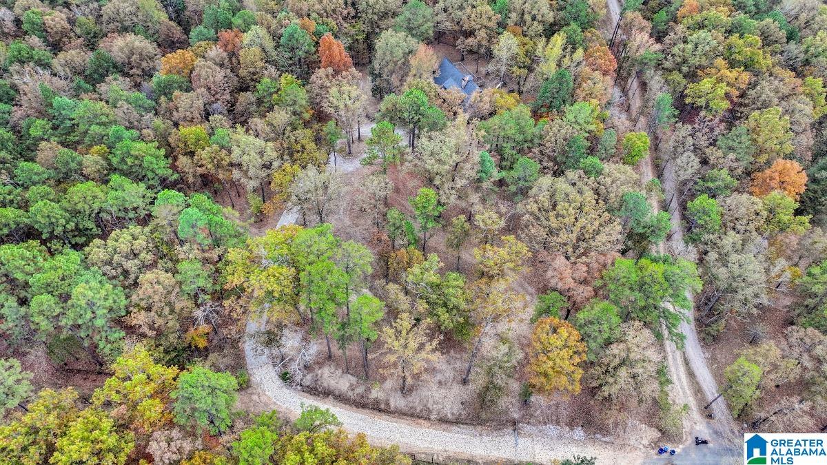 621 Hodgens Road Chelsea, AL 35043 - Photo 53 of 59 Gallery Image 53