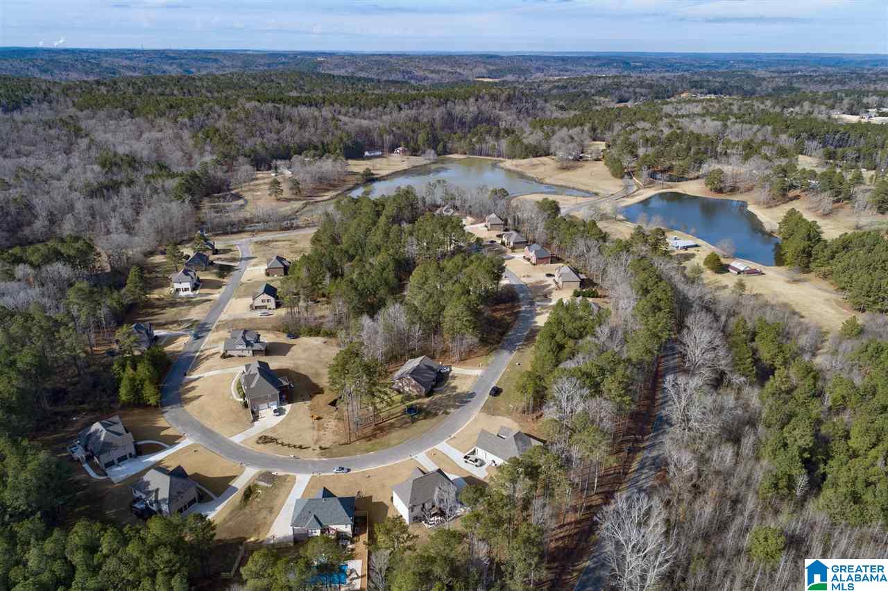 1045 Sedgefield Circle Morris, AL 35116 - Photo 3 of 41
