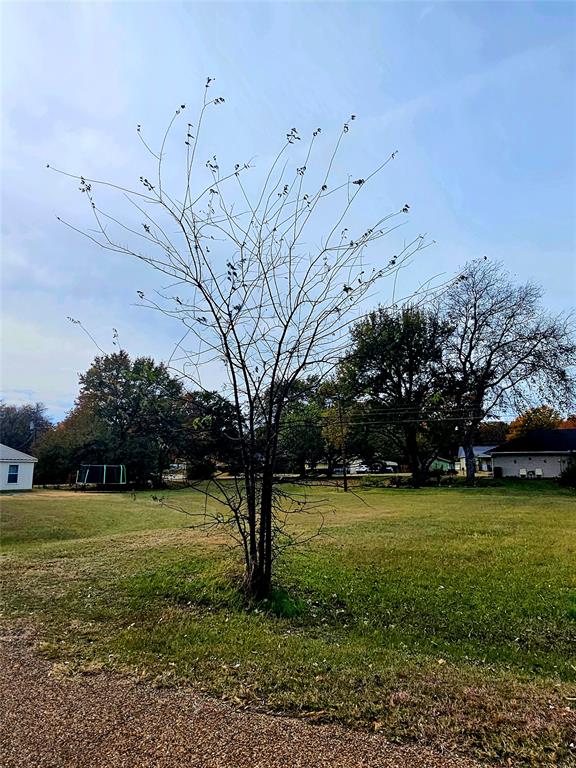 Tbd Oak Ridge Road Mabank, TX 75156 - Photo 5 of 8 a view of a tree in a yard