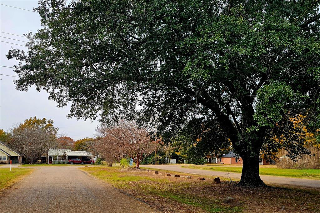 Tbd Oak Ridge Road Mabank, TX 75156 - Photo 7 of 8 a view of outdoor space with trees all around