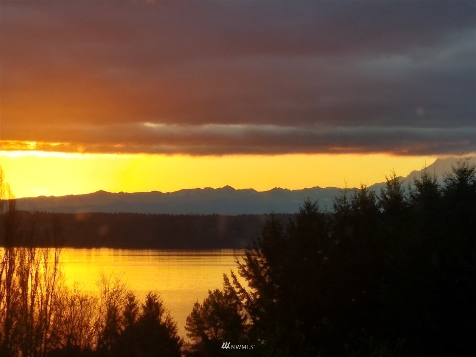 9238 Southwest Summerhurst Road Vashon, WA 98070 - Photo 34 of 38 Gallery Image 34