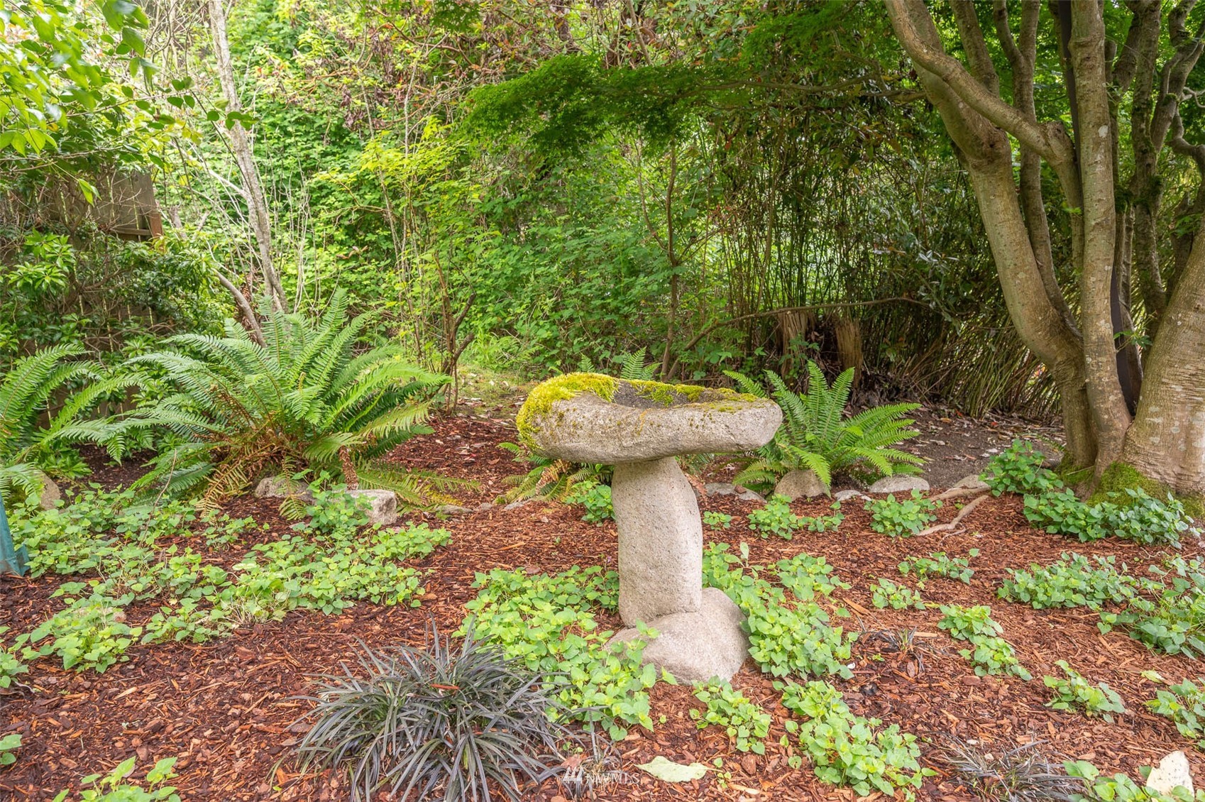 9238 Southwest Summerhurst Road Vashon, WA 98070 - Photo 5 of 38 Gallery Image 5