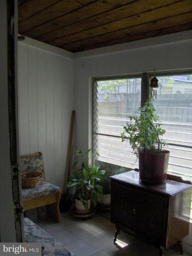 601 Kerwin Road Silver Spring, MD 20901 - Photo 13 of 13 a potted plant sitting in front of a window