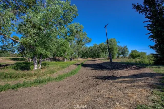 a view of a road with a yard