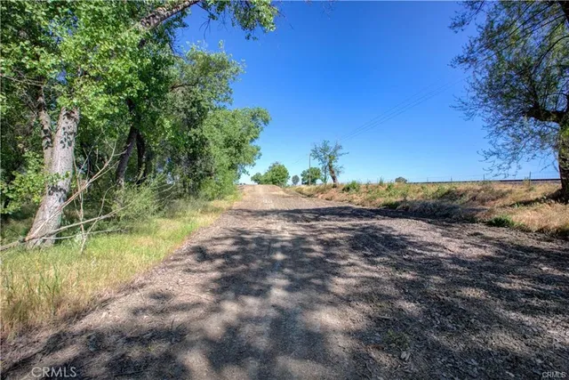 a view of a backyard with large trees