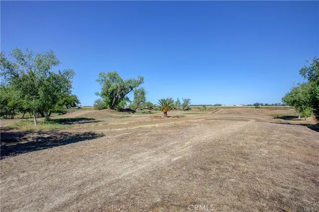 a view of outdoor space with trees all around