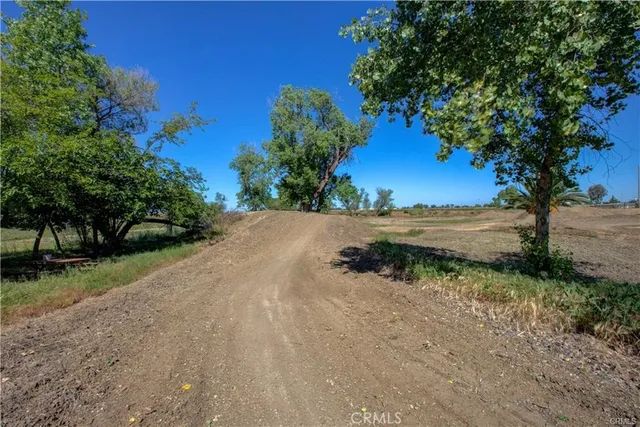 a view of a yard with a tree