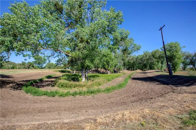 a view of a garden with a lake view