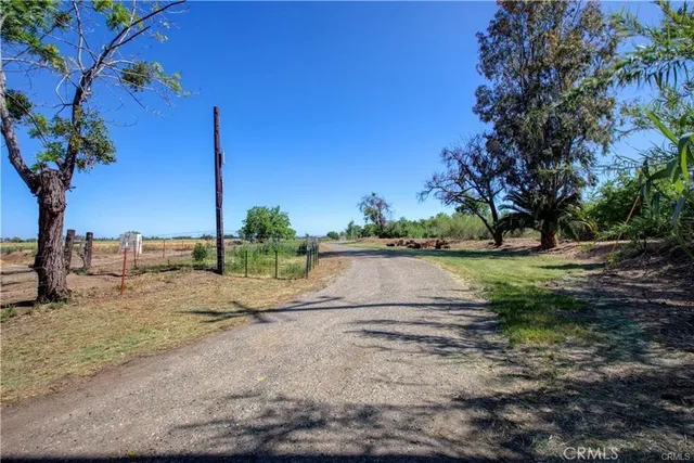 a view of a park with plants and trees