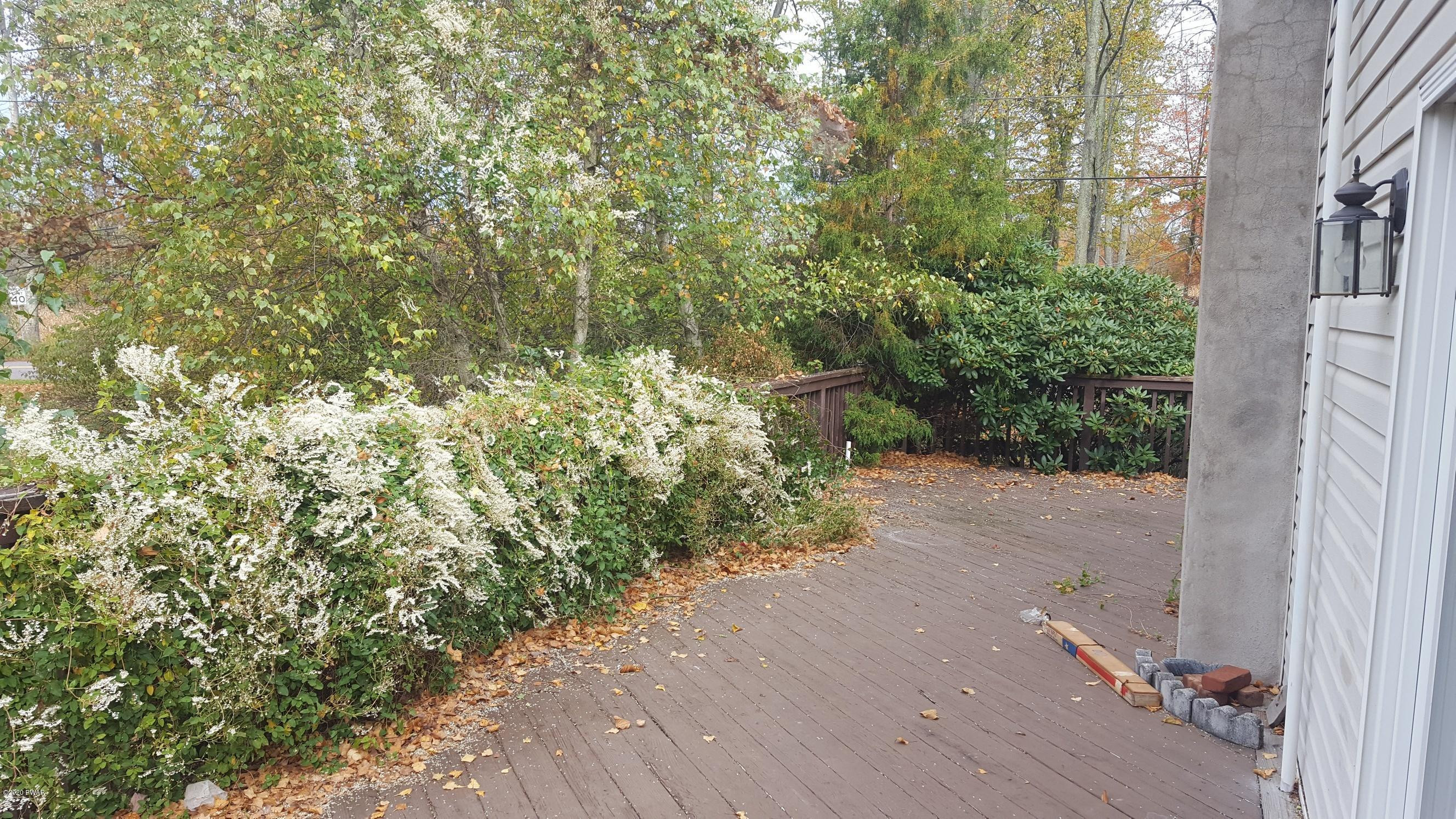 554 St Tikhons Road Waymart, PA 18472 - Photo 14 of 29 a view of a yard with plants and a small yard