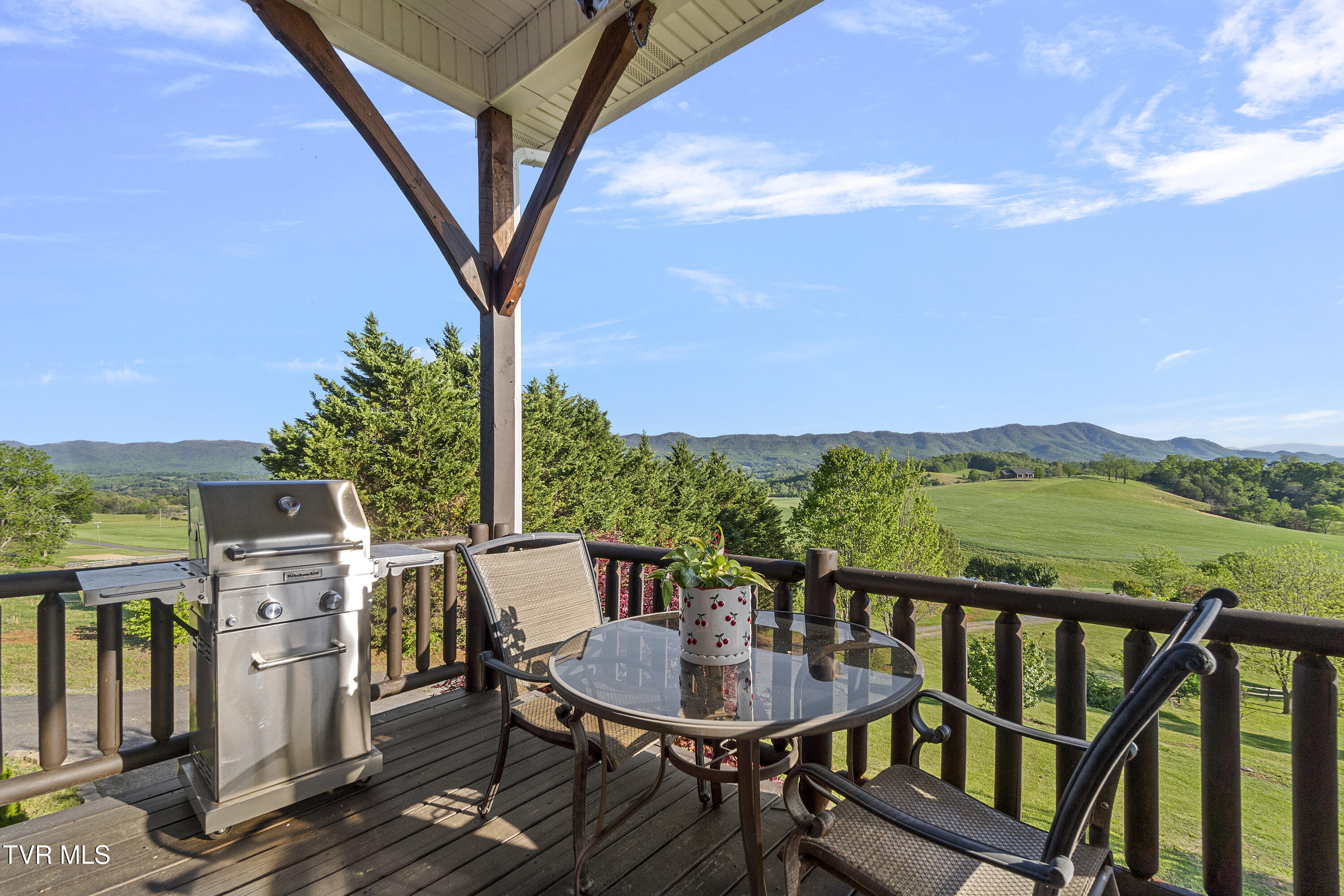 3706 Salem Road Parrottsville, TN 37843 - Photo 3 of 84 DSC08186
