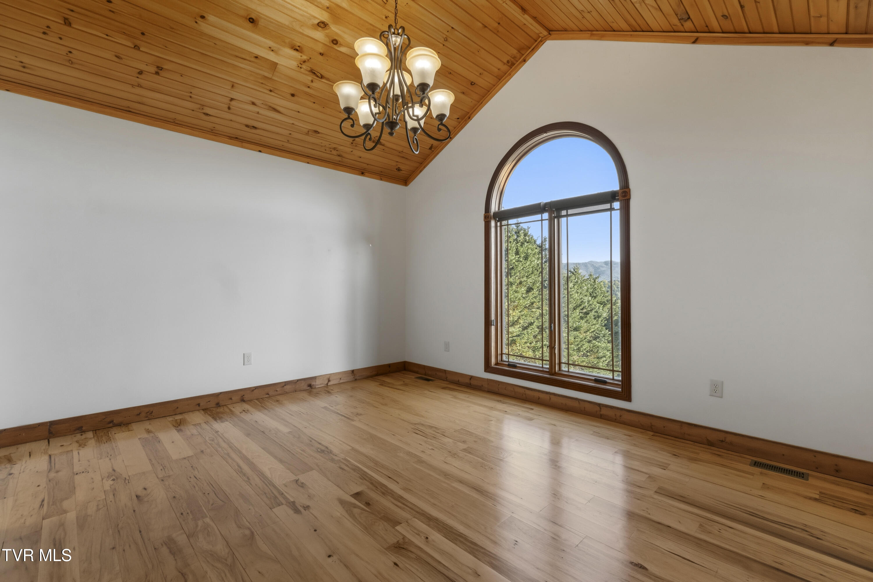 3706 Salem Road Parrottsville, TN 37843 - Photo 31 of 84 DSC08153