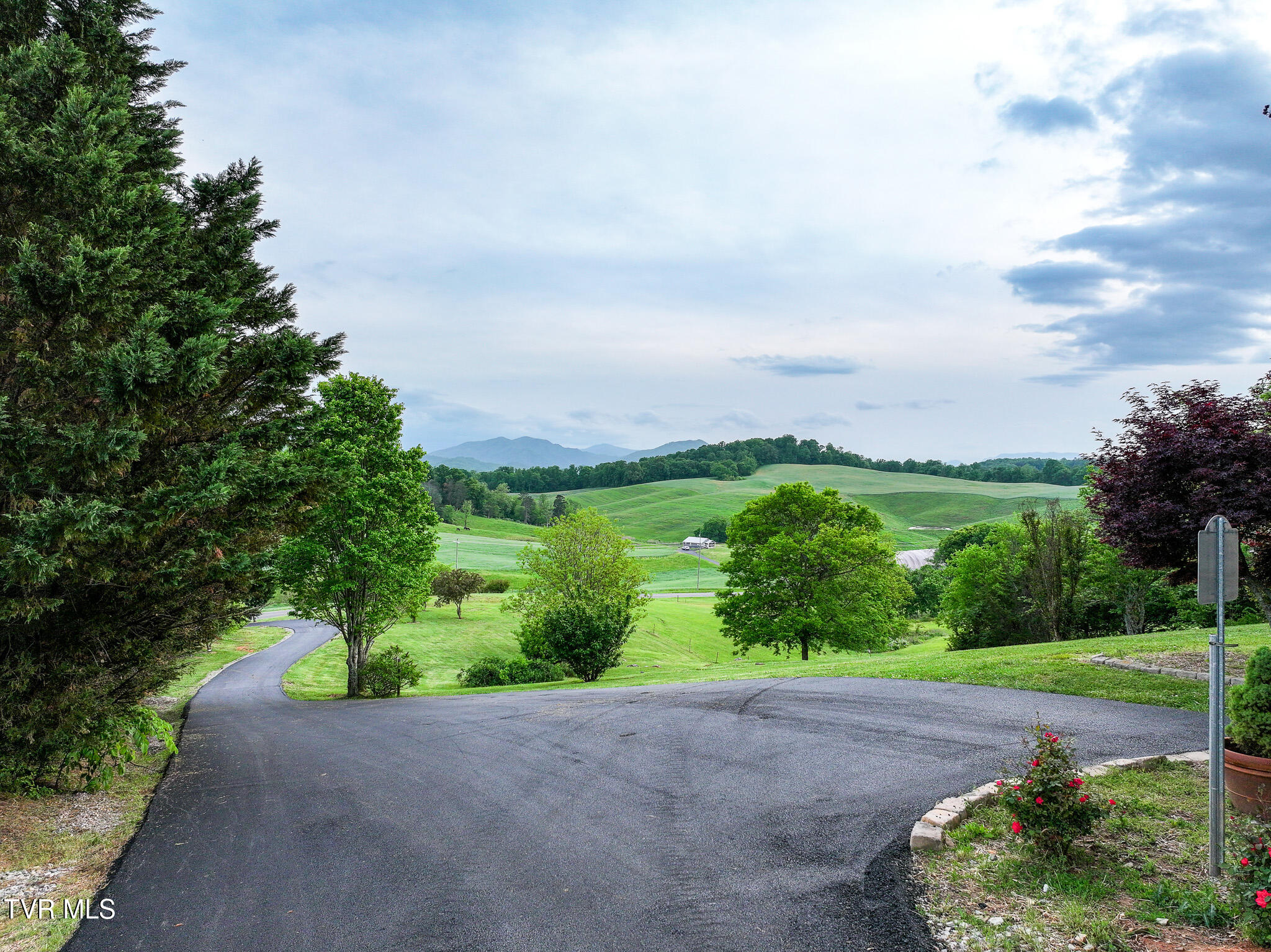 3706 Salem Road Parrottsville, TN 37843 - Photo 69 of 84 DJI_20260428182241_0174_D