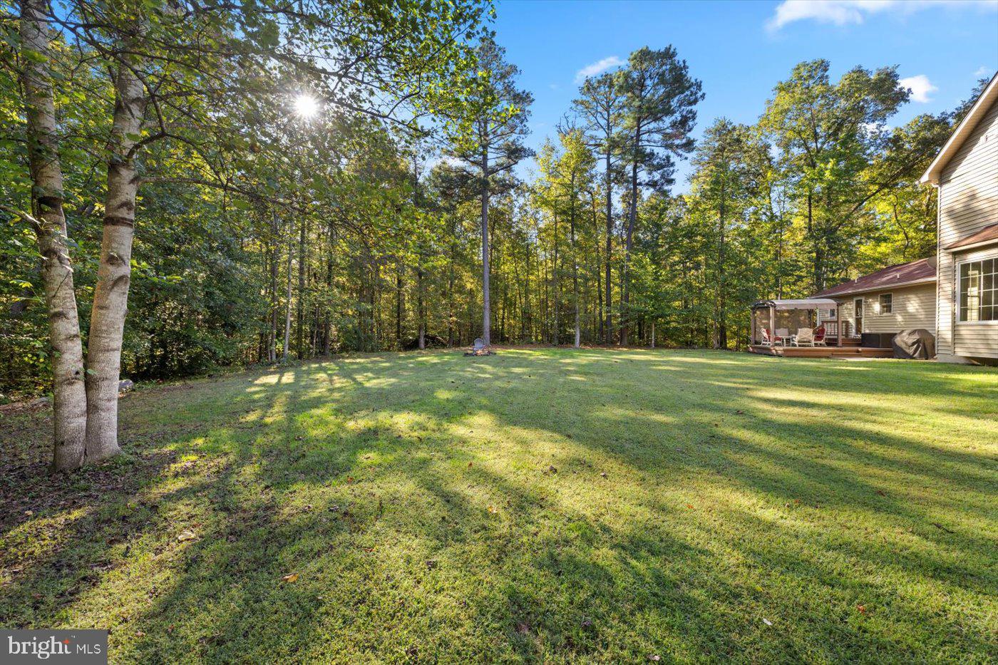 22617 Telegraph Road Ruther Glen, VA 22546 - Photo 7 of 46