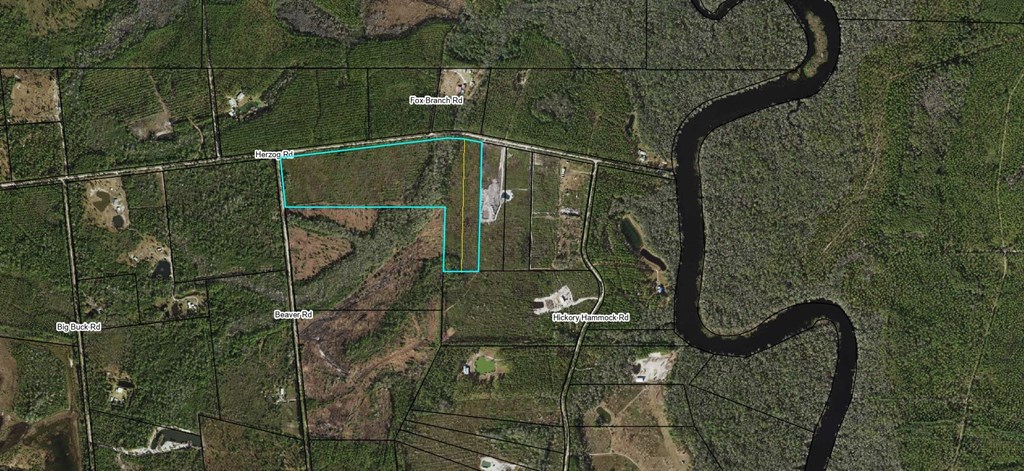 115 Beaver Road Carrabelle, FL 32322 - Photo 12 of 12 Gallery Image 12