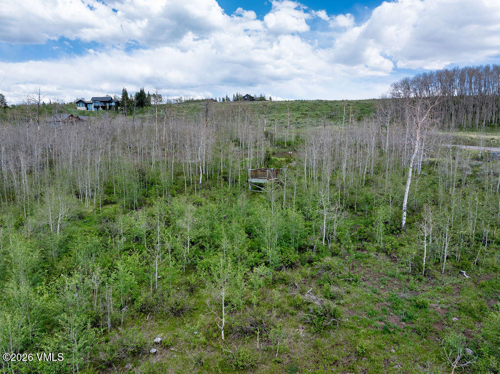 624 Gore Trail Edwards, CO 81632 - Photo 10 of 22 2606_624_gore_tr_aerial_h
