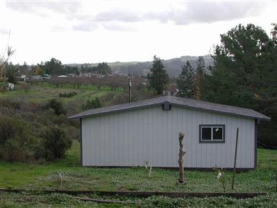 10837 Cherry Ridge Road Sebastopol, CA 95472 - Photo 4 of 4 a view of a back yard of the house