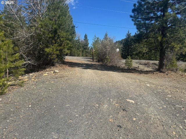 605 Sumpter Valley Highway Sumpter, OR 97877 - Photo 12 of 18 a view of a yard with a tree