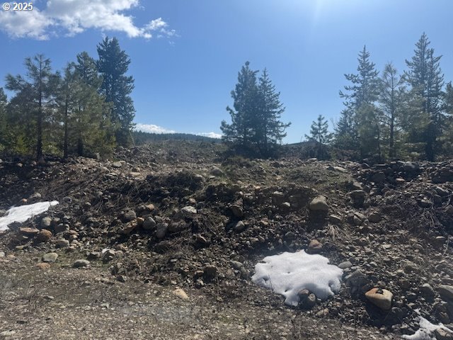 605 Sumpter Valley Highway Sumpter, OR 97877 - Photo 13 of 18 a view of a large tree with green space
