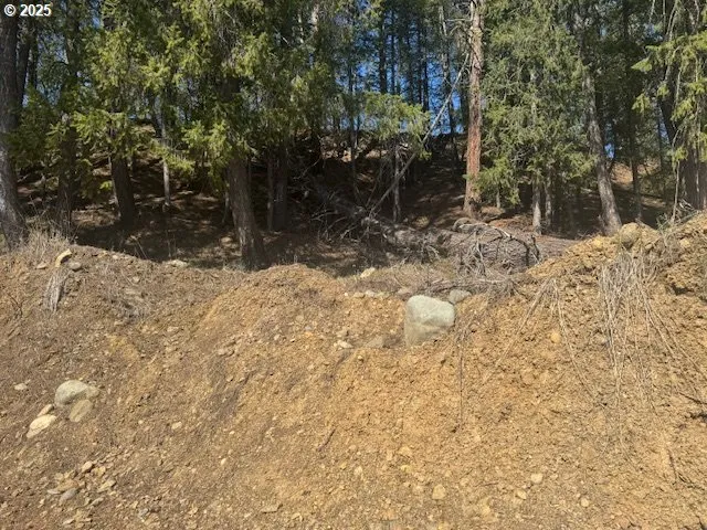 a view of a yard covered in snow