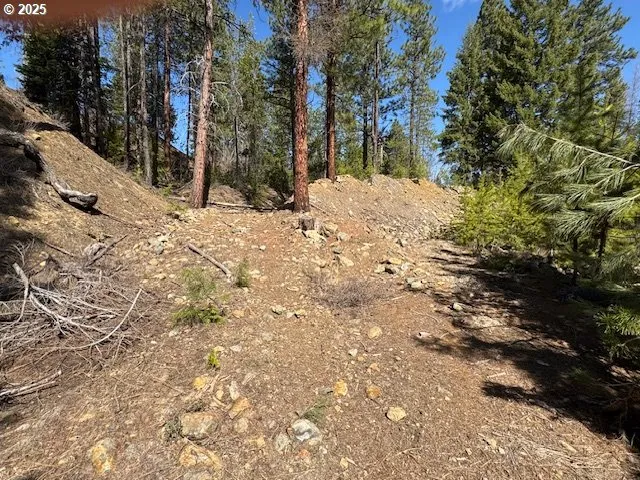 a view of snow on a road