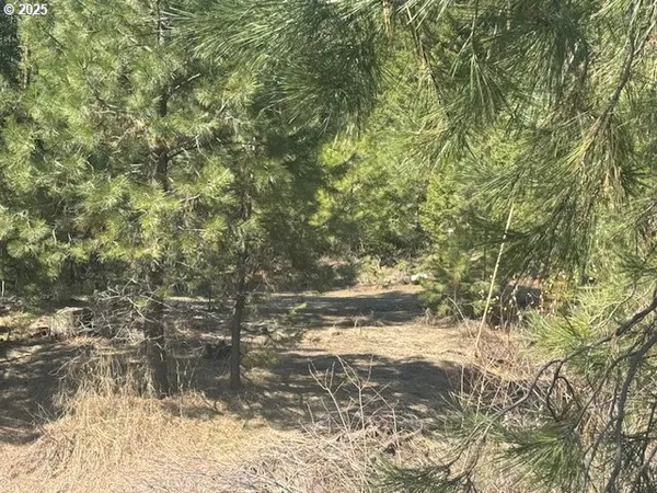 a view of a yard with some trees