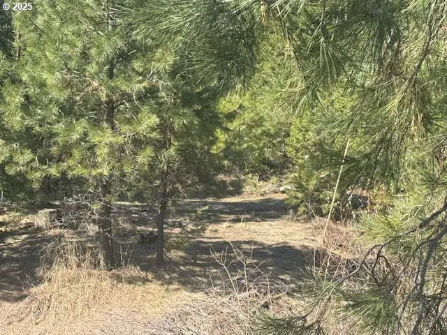 a view of a yard with some trees