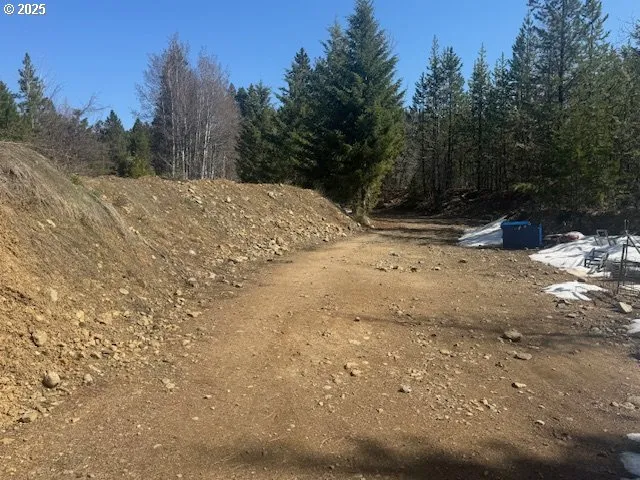 a view of a yard with a tree
