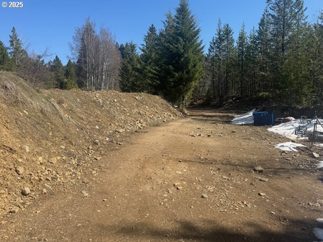 605 Sumpter Valley Highway Sumpter, OR 97877 - Photo 18 of 18 a view of a yard with a tree
