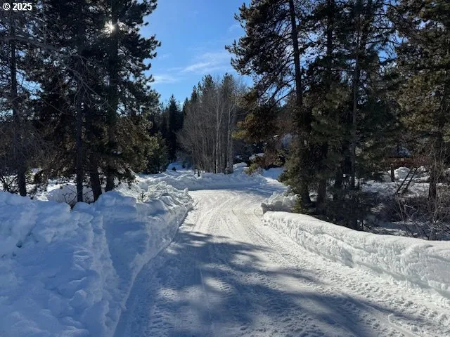 a view of side of a road with trees