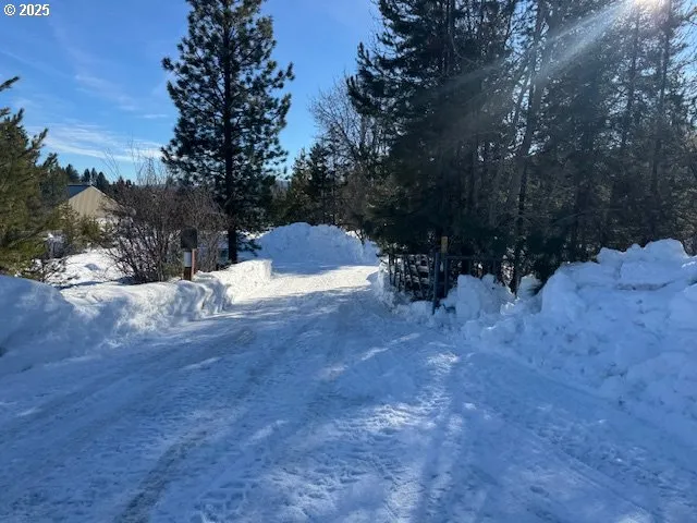 a view of a backyard of the house