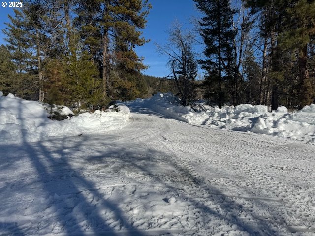 605 Sumpter Valley Highway Sumpter, OR 97877 - Photo 5 of 18 a view of a snow on the road
