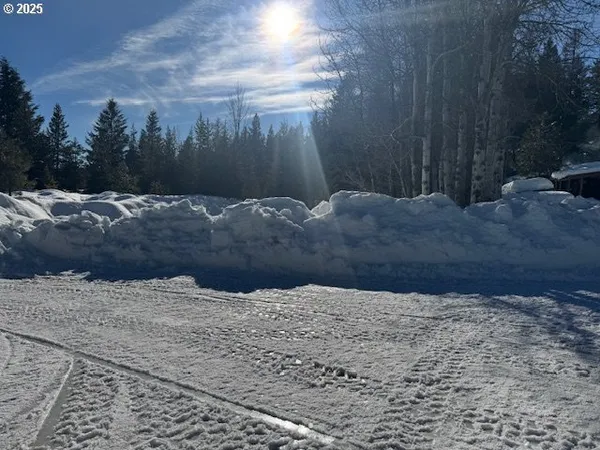 a view of a yard