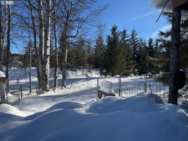 605 Sumpter Valley Highway Sumpter, OR 97877 - Photo 7 of 18 a view of a park with iron fence