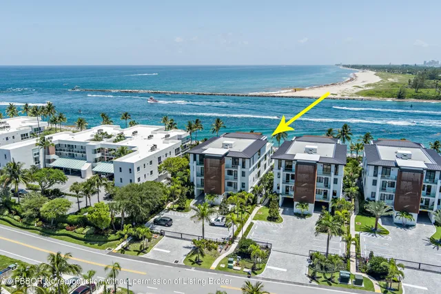 a view of a backyard with plants