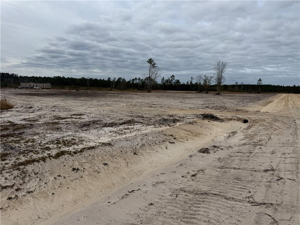 Lot 16 Wiregrass Lane, Unit 16 Waycross, GA 31503 - Photo 2 of 6