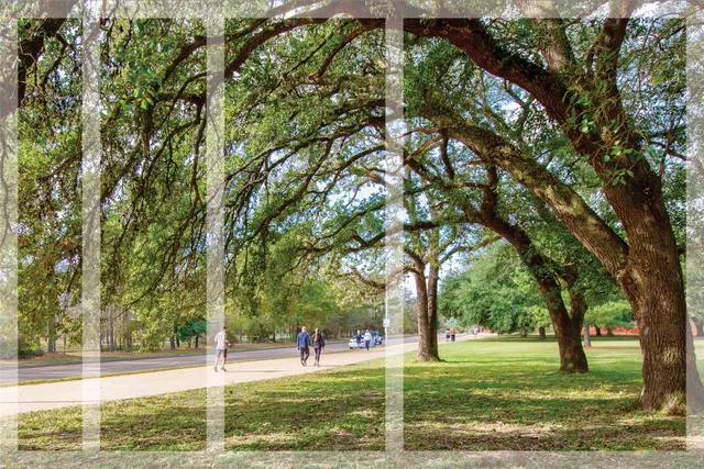 $3,100 | 1611 McDonald Street, Houston, TX 77007