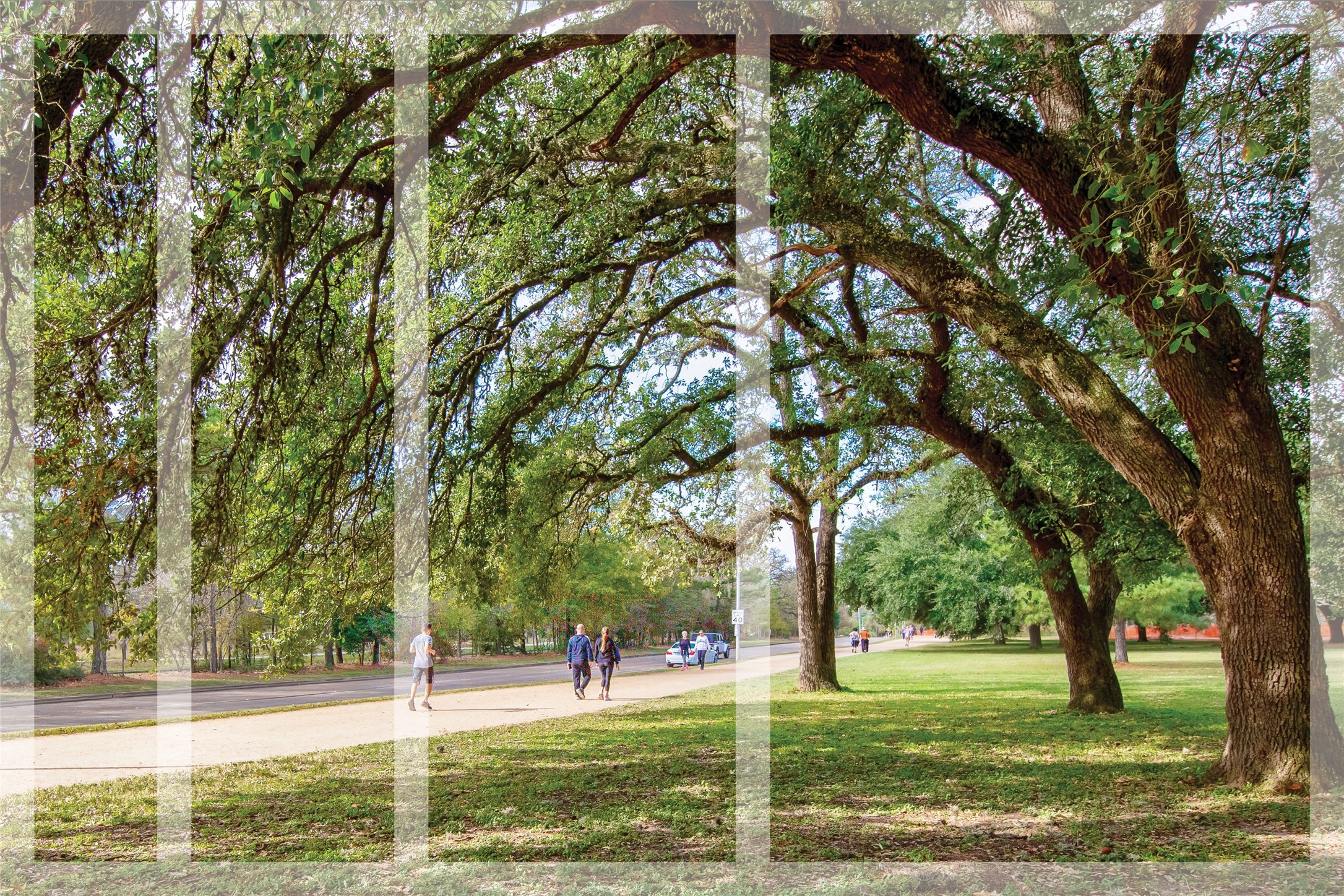 1611 McDonald Street Houston, TX 77007 - Photo 36 of 37