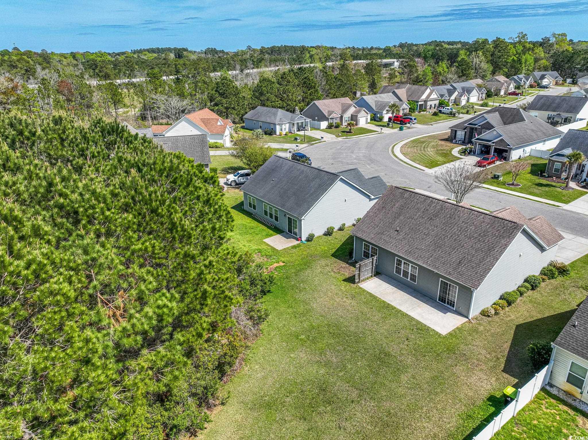 290 Seagrass Loop Myrtle Beach, SC 29588 - Photo 28 of 33