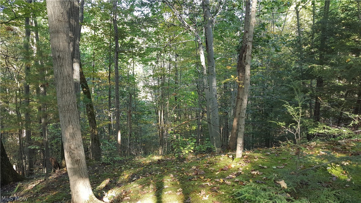 10210 Sherman Road Chardon, OH 44024 - Photo 26 of 29 Gallery Image 26