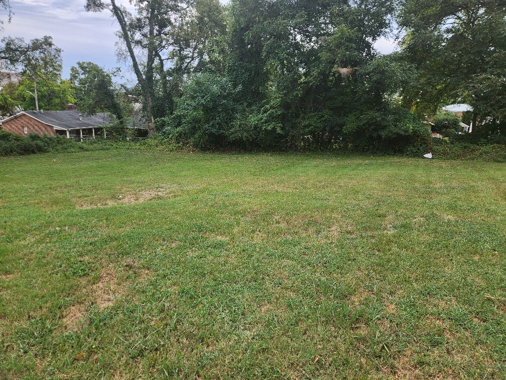 321 West Washington Street Pulaski, TN 38478 - Photo 2 of 11 a view of a green yard with large trees