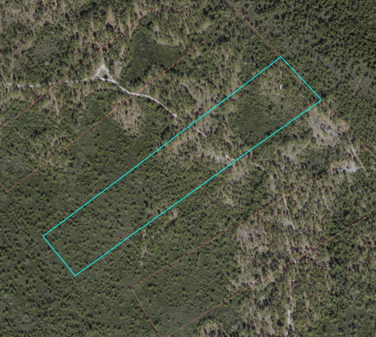 10-ac Traders Neck Road Hampstead, NC 28443 - Photo 1 of 4 Primary Photo