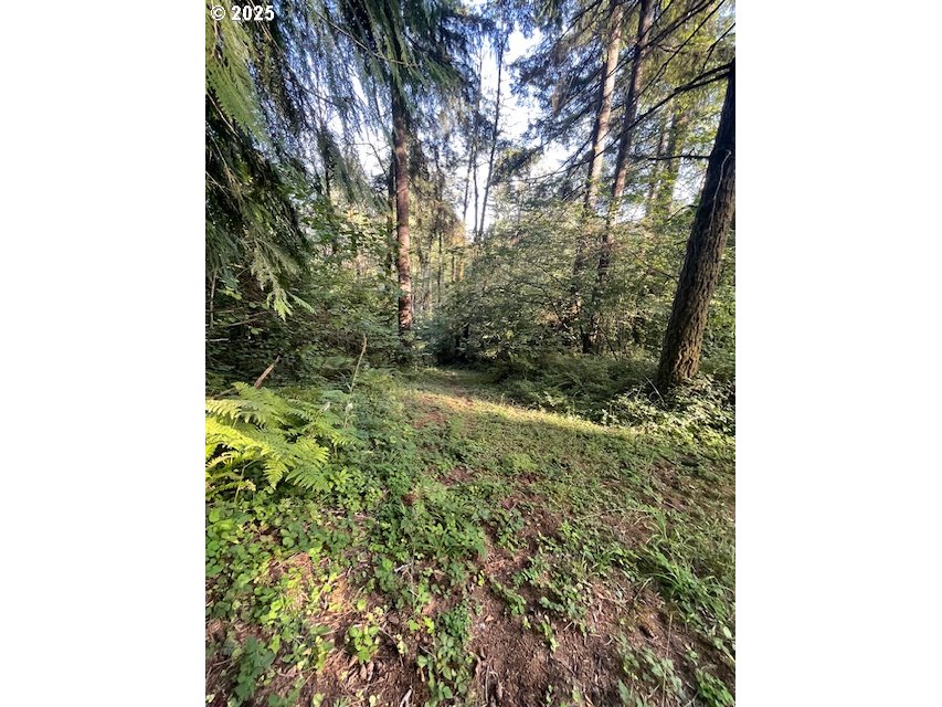 0 Mathews Road Washougal, WA 98671 - Photo 3 of 12 Gallery Image 3