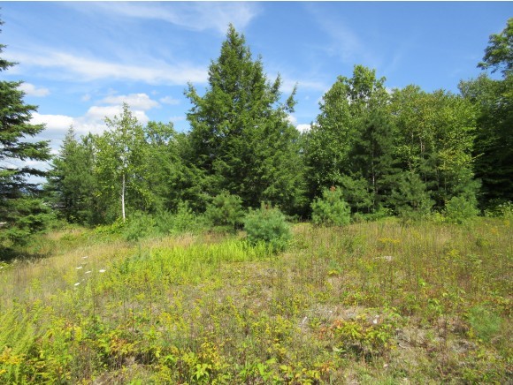 2 Pocket Mountain Road Ossipee, NH 03864 - Photo 3 of 7