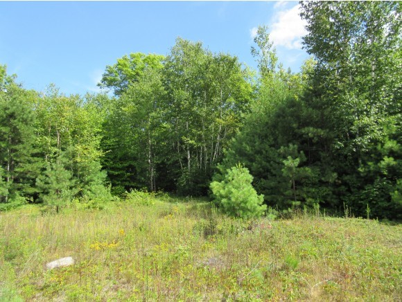 2 Pocket Mountain Road Ossipee, NH 03864 - Photo 6 of 7