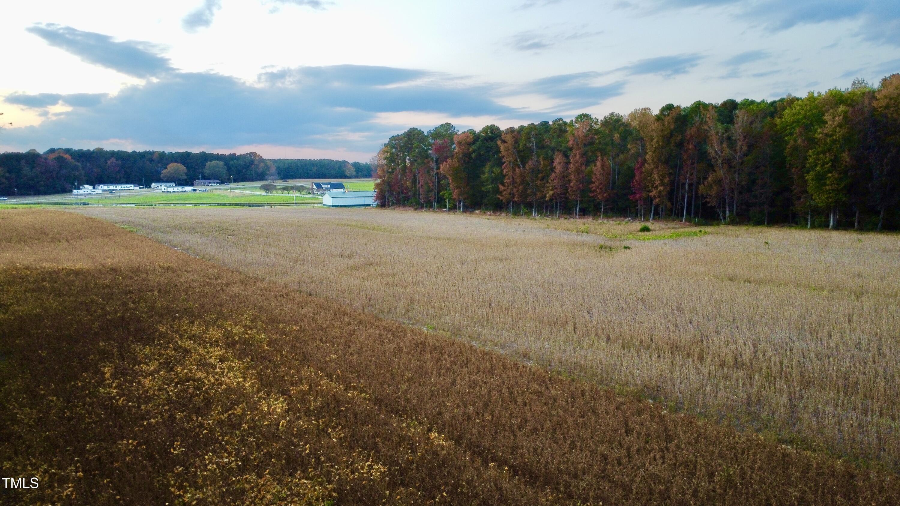 124 T T-Model Jones Road Castalia, NC 27816 - Photo 8 of 8 DJI_0084 (1)