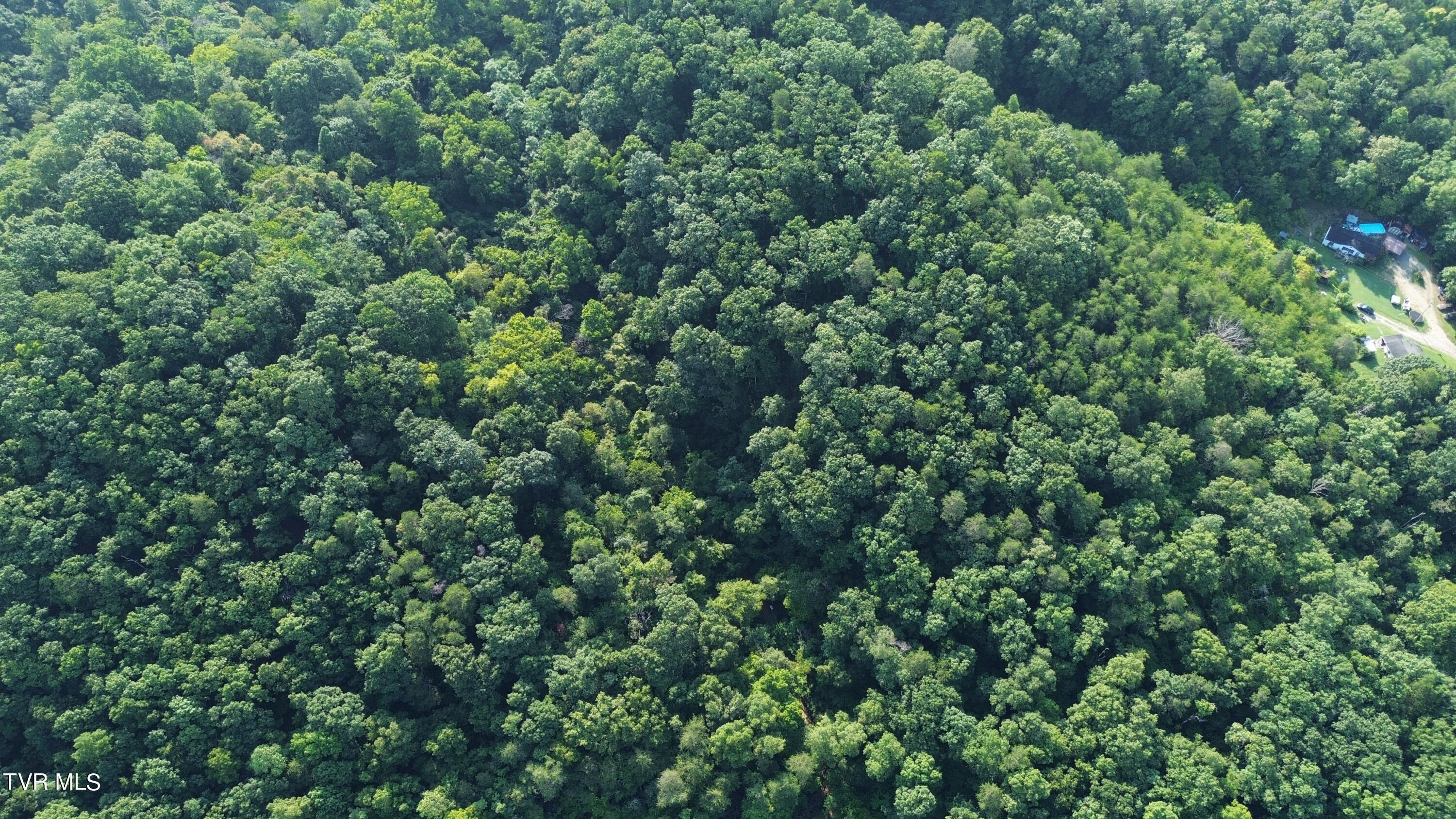 1920 Pleasant Ridge School Road Talbott, TN 37877 - Photo 43 of 49 DJI_0568