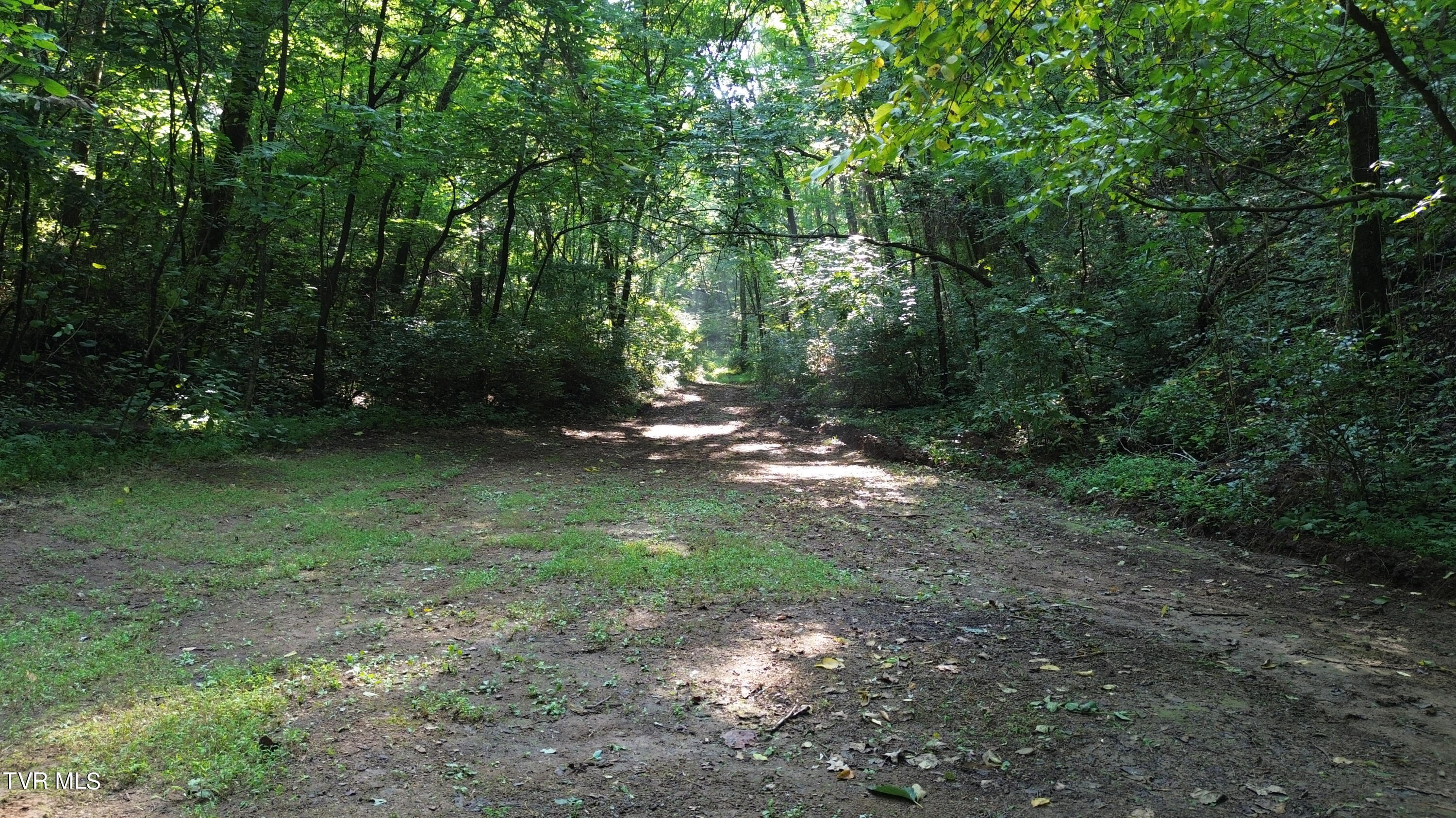 1920 Pleasant Ridge School Road Talbott, TN 37877 - Photo 47 of 49 DJI_0593
