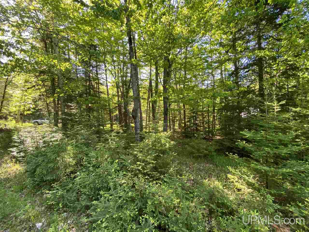 Tbd North Grosse Point Shores Road Dollar Bay, MI 49922 - Photo 5 of 16